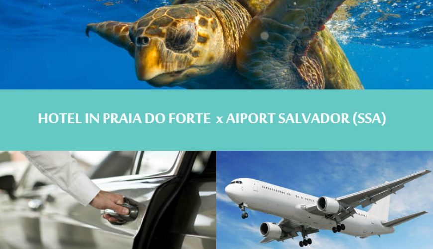 Northeast Brazil - Praia do forte - Transfer hotel in Praia do forte to Salvador airport - Traslado Praia do forte