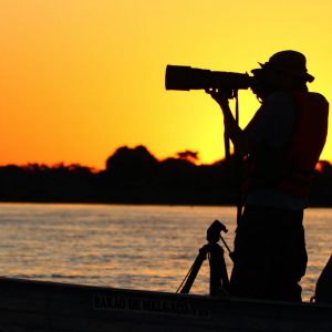 North Pantanal - Birdwatching